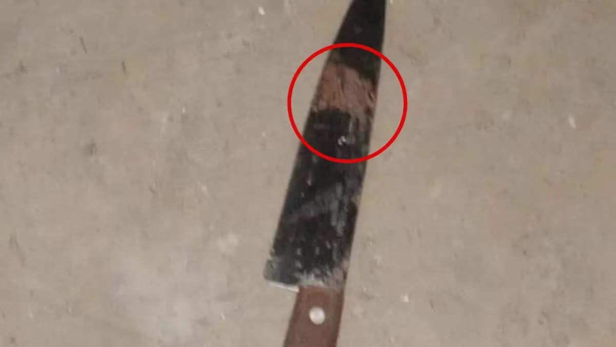 El arma utilizada por el asesino. Foto: NA