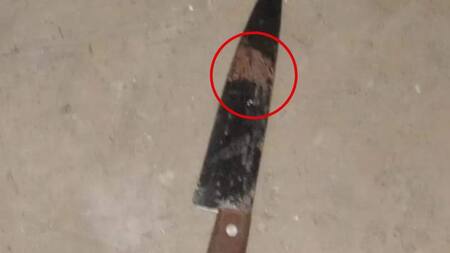 El arma utilizada por el asesino. Foto: NA