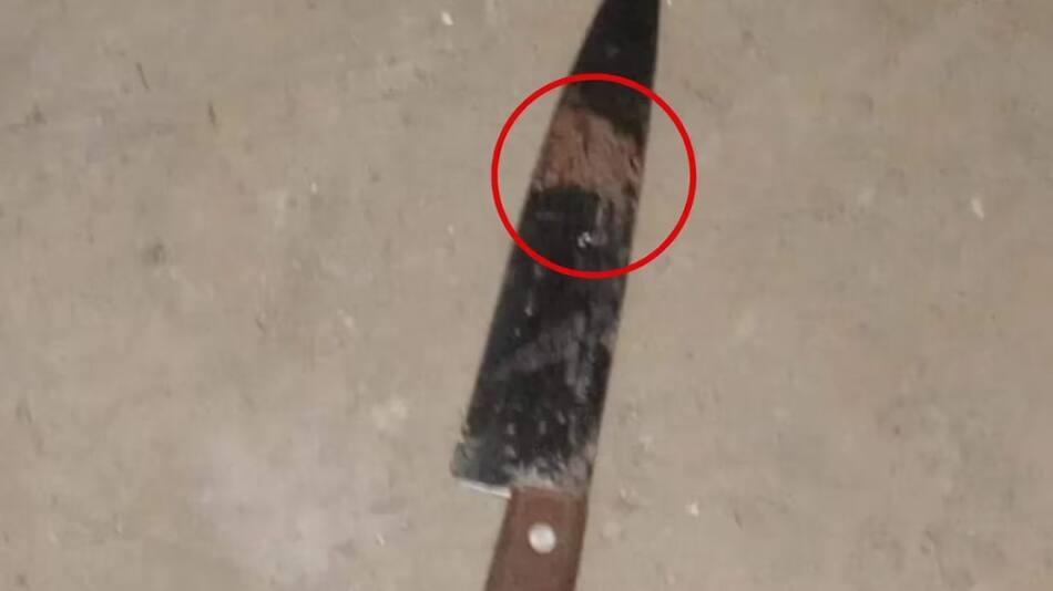 El arma utilizada por el asesino. Foto: NA