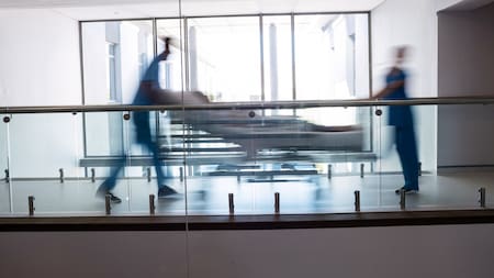 Escándalo en Países Bajos: dos niños fueron internados por comer golosinas con cannabis