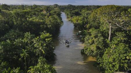 Fotografía aérea de un bote navegando por un río en una zona de la floresta Amazónica. Foto: EFE.