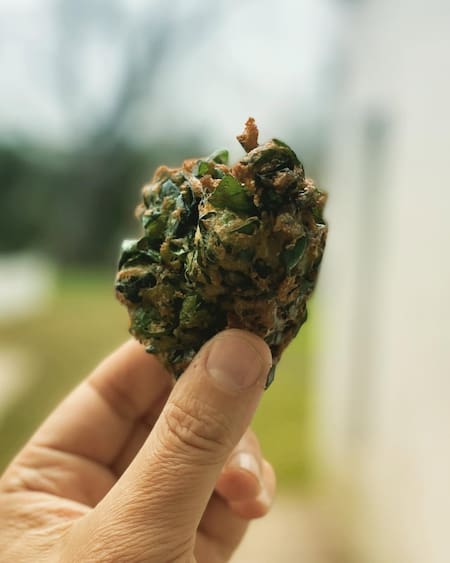 Buñuelos de espinaca. Foto Instagram @robertopetersen_