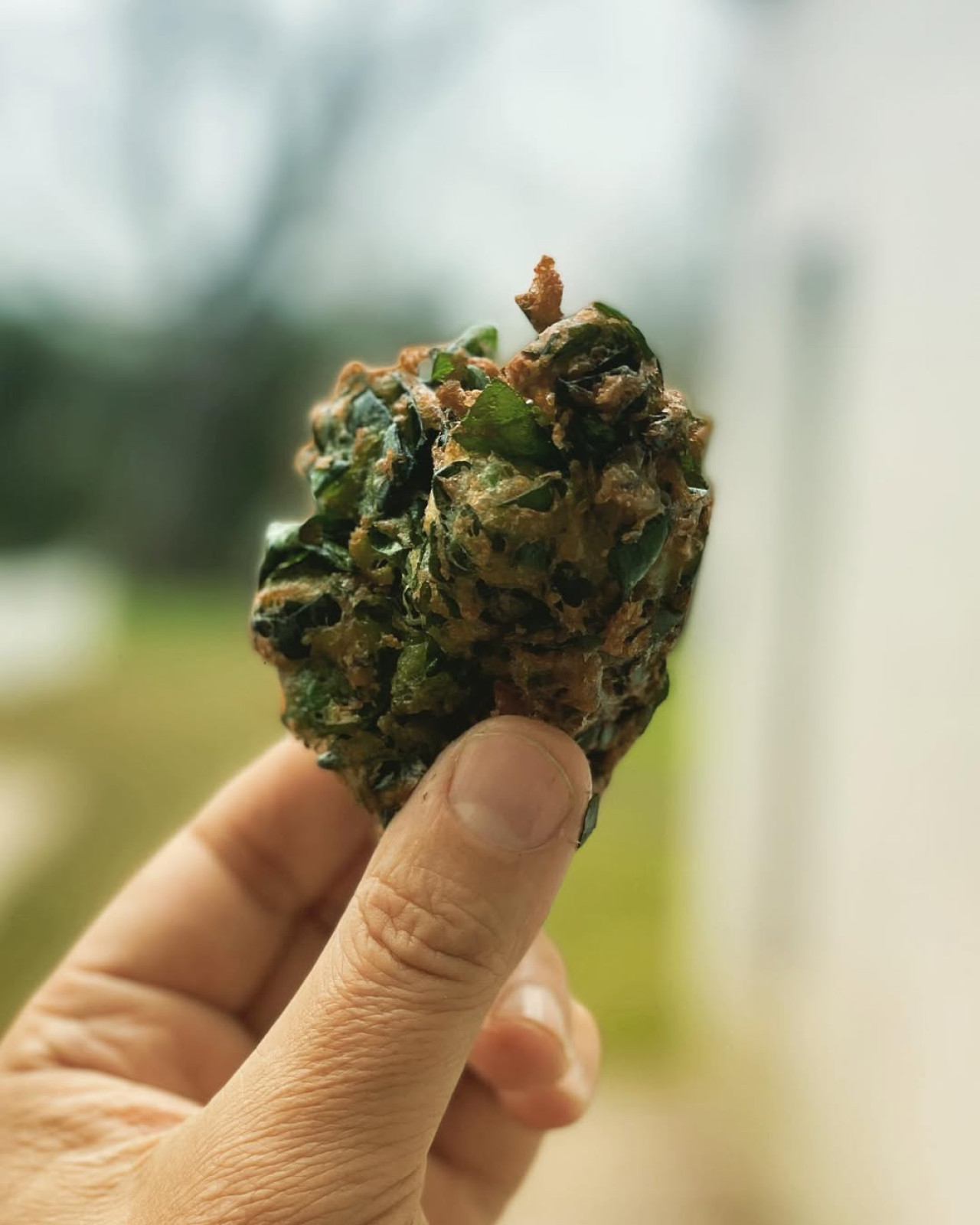 Buñuelos de espinaca. Foto Instagram @robertopetersen_