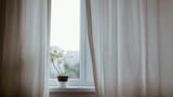 La nueva tendencia del 2026 que arrasa con las cortinas y los blackouts: modernidad y estilo, sin resignar privacidad
