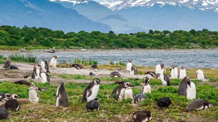 Esta impresionante isla es el resultado del modelado glaciar de la cordillera de Darwin. Foto: Turismo Ushuaia.