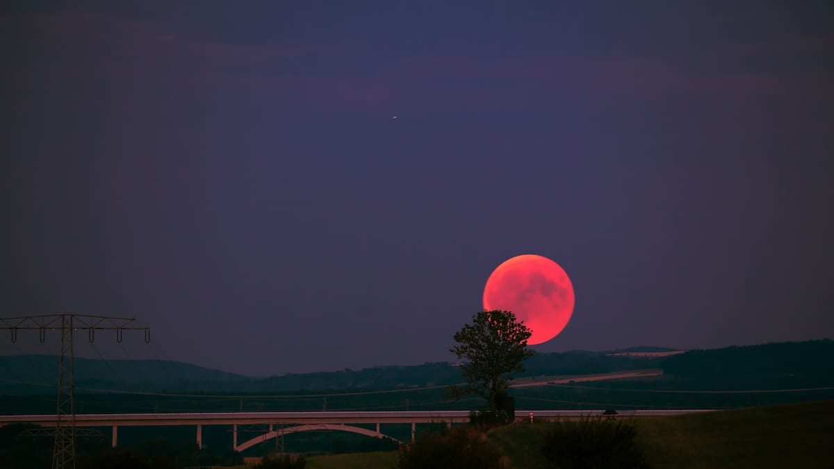 Llegó la Luna de Fresa: qué significa este fenómeno astronómico y por qué es uno de los más especiales del año
