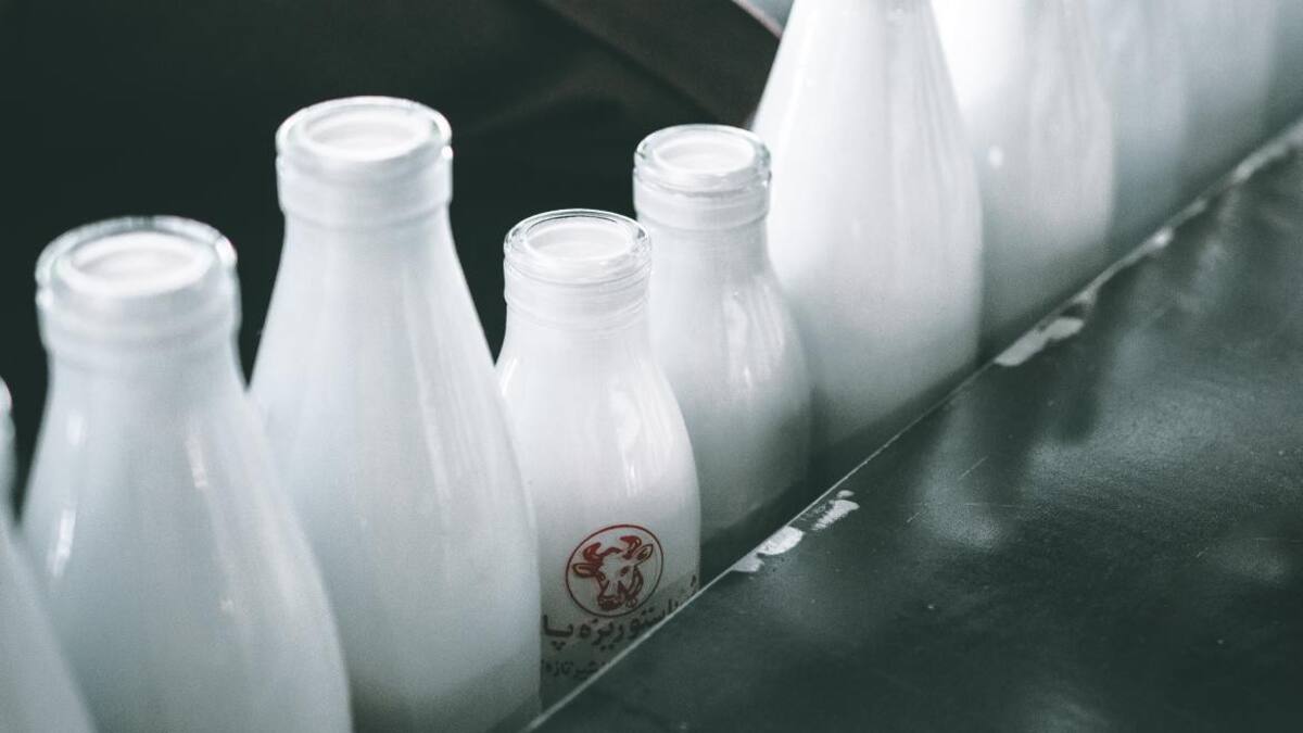 Consumo de lácteos - Foto: @unsplash