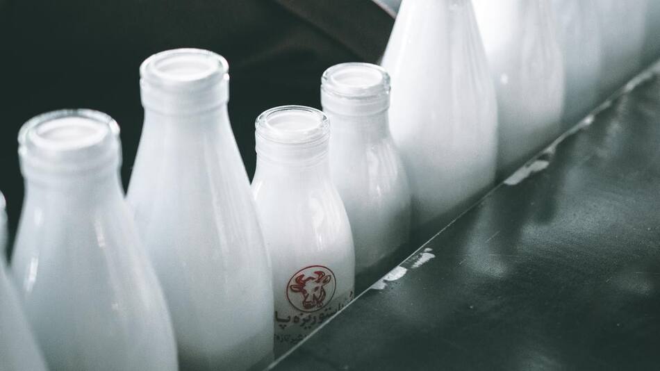 Consumo de lácteos - Foto: @unsplash