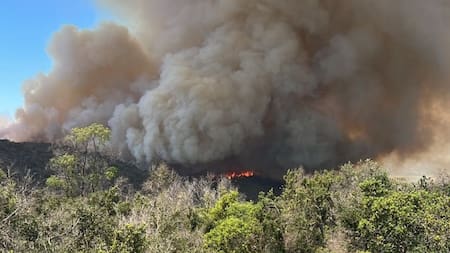 Incendio forestal en sector en Pintue y Aculeo en Chile. Foto: Twitter @bomberosdechile