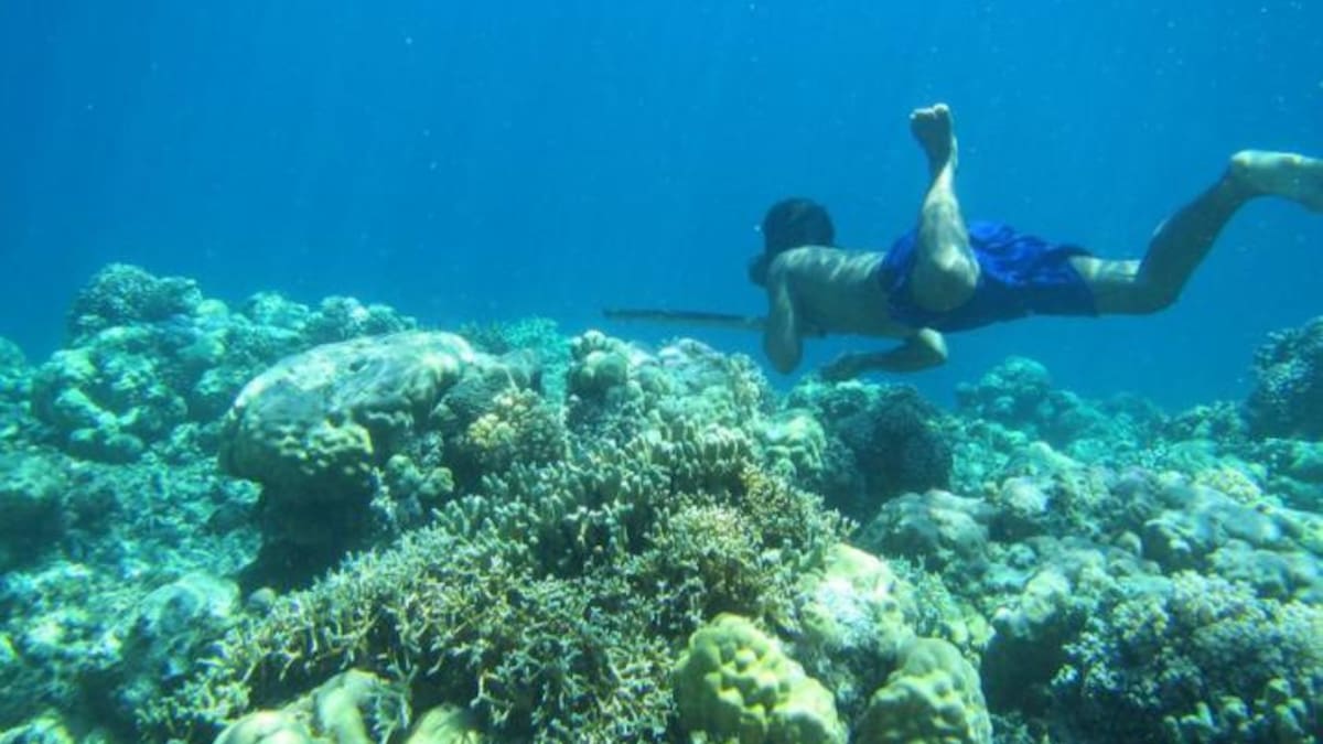 Tribu Bajau