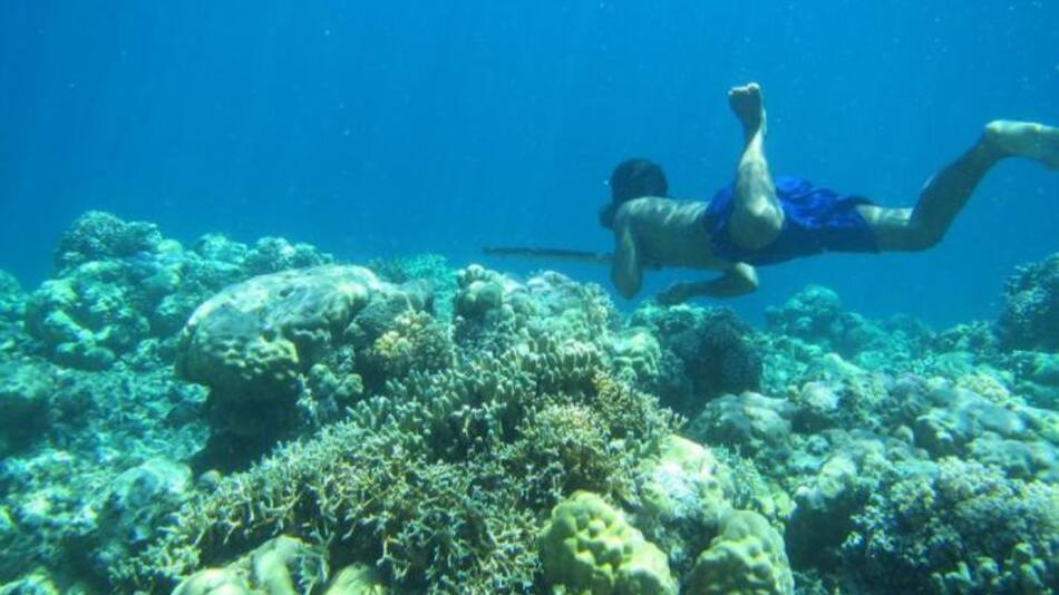 Tribu Bajau