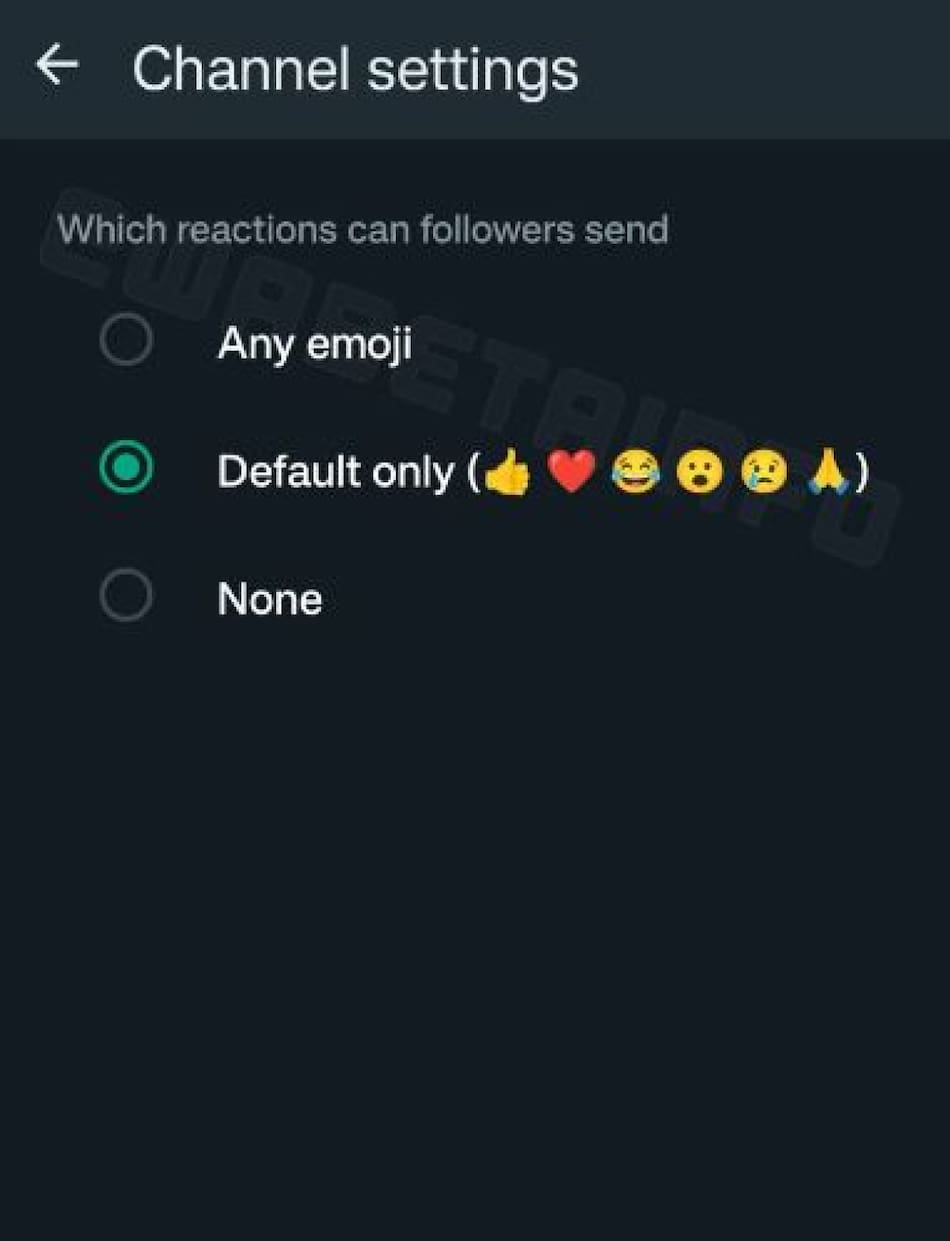WhatsApp limitará las reacciones de algunos emojis para tener más "seriedad" en los Canales. Foto: WABetaInfo.