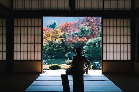 Población en Japón. Foto: Unsplash