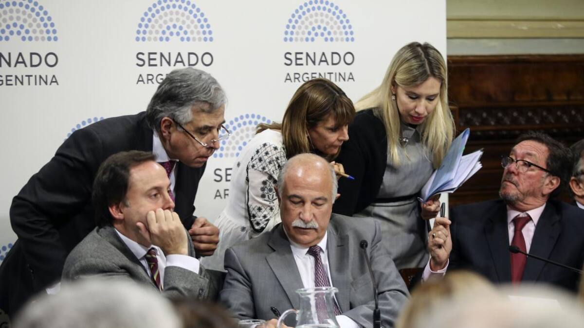 Aborto, debate en el Senado - NA -