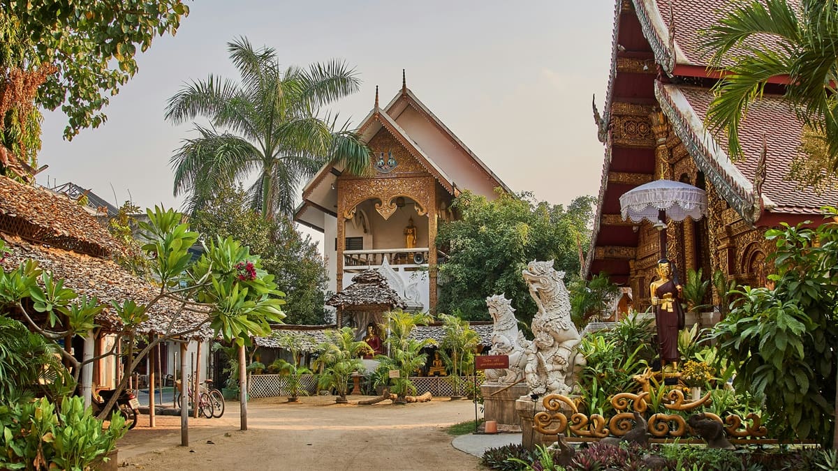 Abren convocatoria para vivir gratis en Tailandia como voluntario: ofrecen alojamiento y 3 comidas diarias por trabajar 25 horas semanales