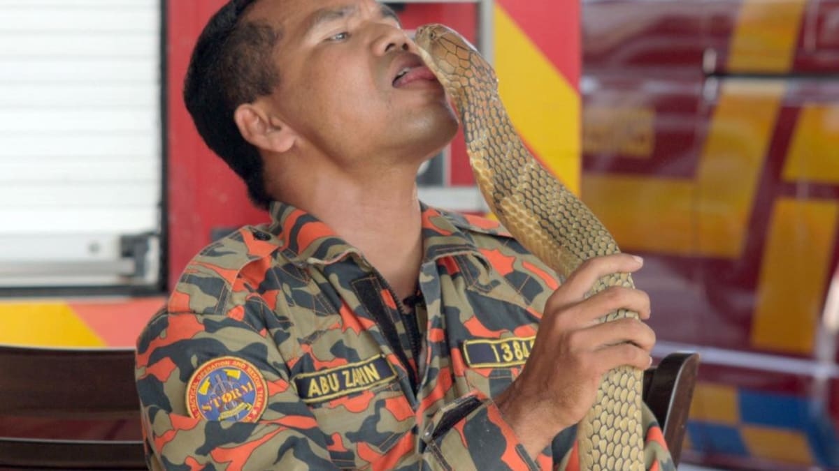 Abu Zarin Hussin, encantador de serpientes