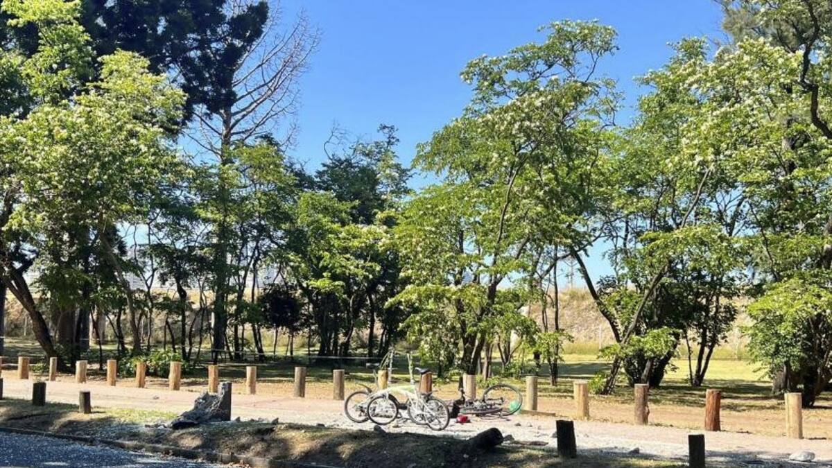 Accidente fatal en los Bosques de Palermo, AGENCIA NA