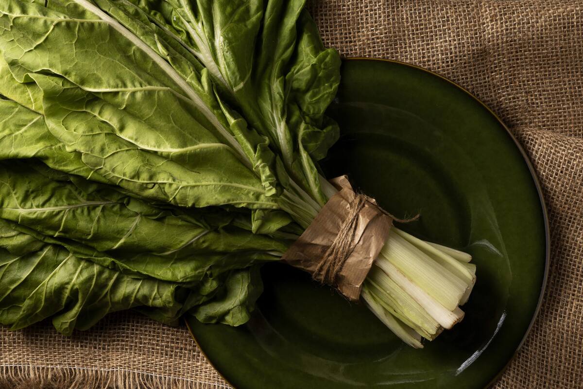 Acelga. Foto: Freepik.