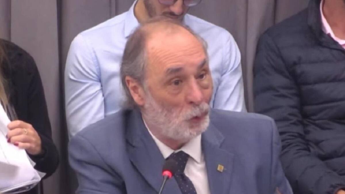 Actividad en Comisiones. Foto: captura video DTV.