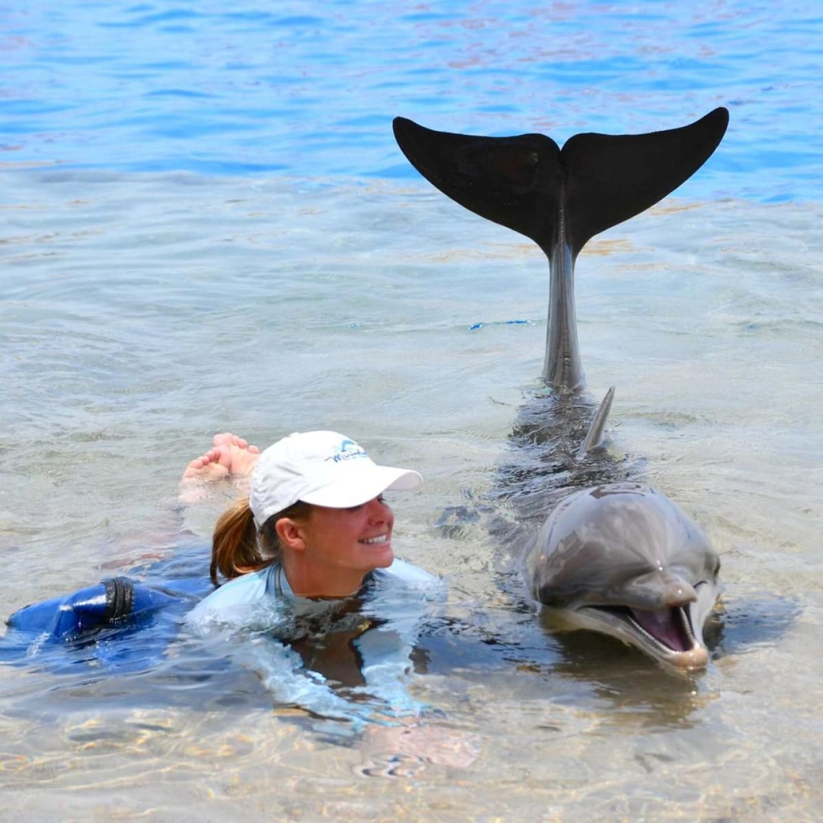 Actividades en un parque acuático de The Dolphin Company. Foto: Instagram thedolphinco.