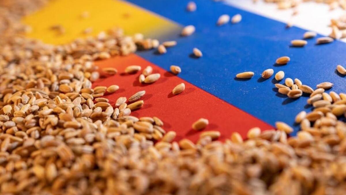 Acuerdo de cereales entre Rusia y Ucrania. Foto: Reuters.