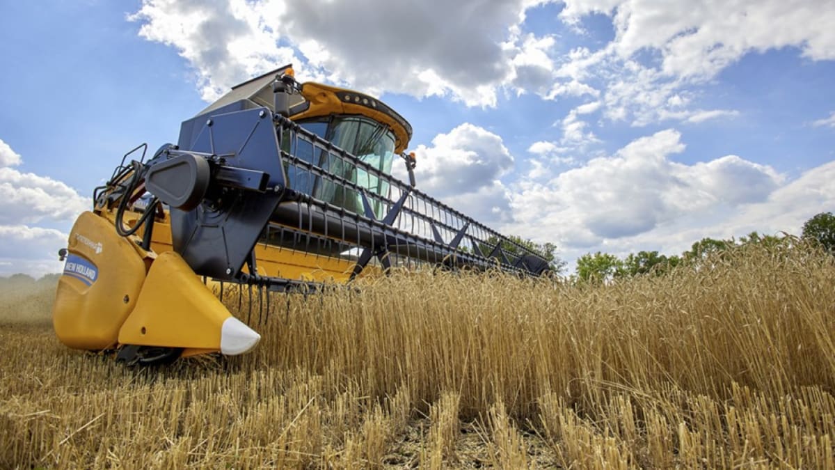 Acuerdo de cereales. Foto: EFE