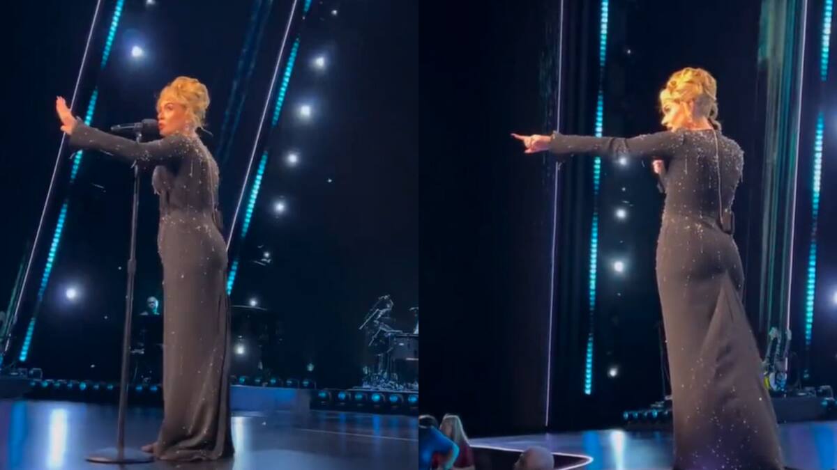 Adele tuvo que frenar el show para defender a un fan. Fotos: captura.