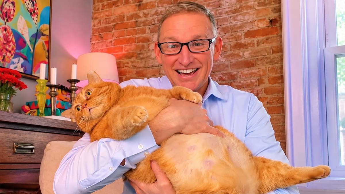Adoptó a una gata de más de 11 kilos que apenas podía caminar y su transformación se volvió viral.