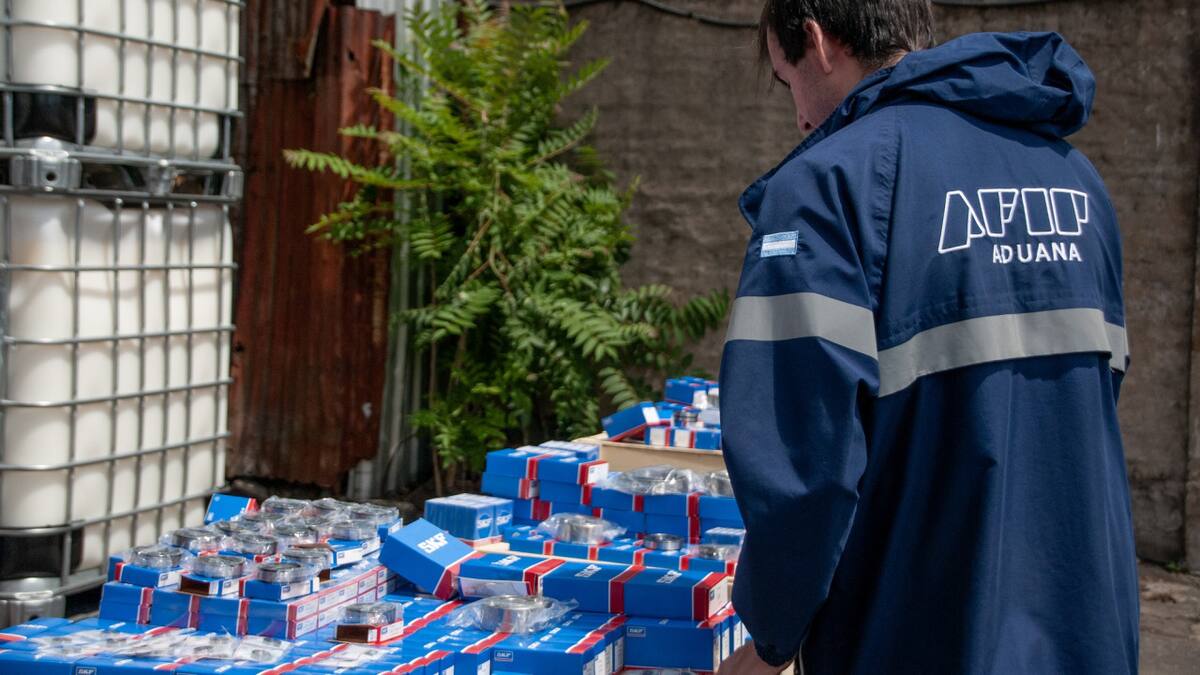 Aduana evitó el ingreso de 4 toneladas de rodamientos truchos para vehículos. Foto: AFIP