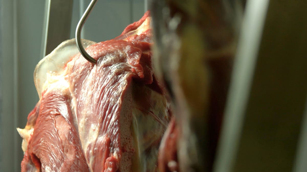 Aduana suspendió un frigorífico por subfacturar exportaciones de Carne a Alemania. Foto: Aduana.