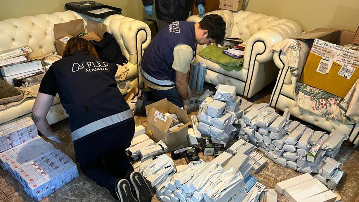 AFIP incautó mercaderia de tecnología en Chubut. Foto: DGA