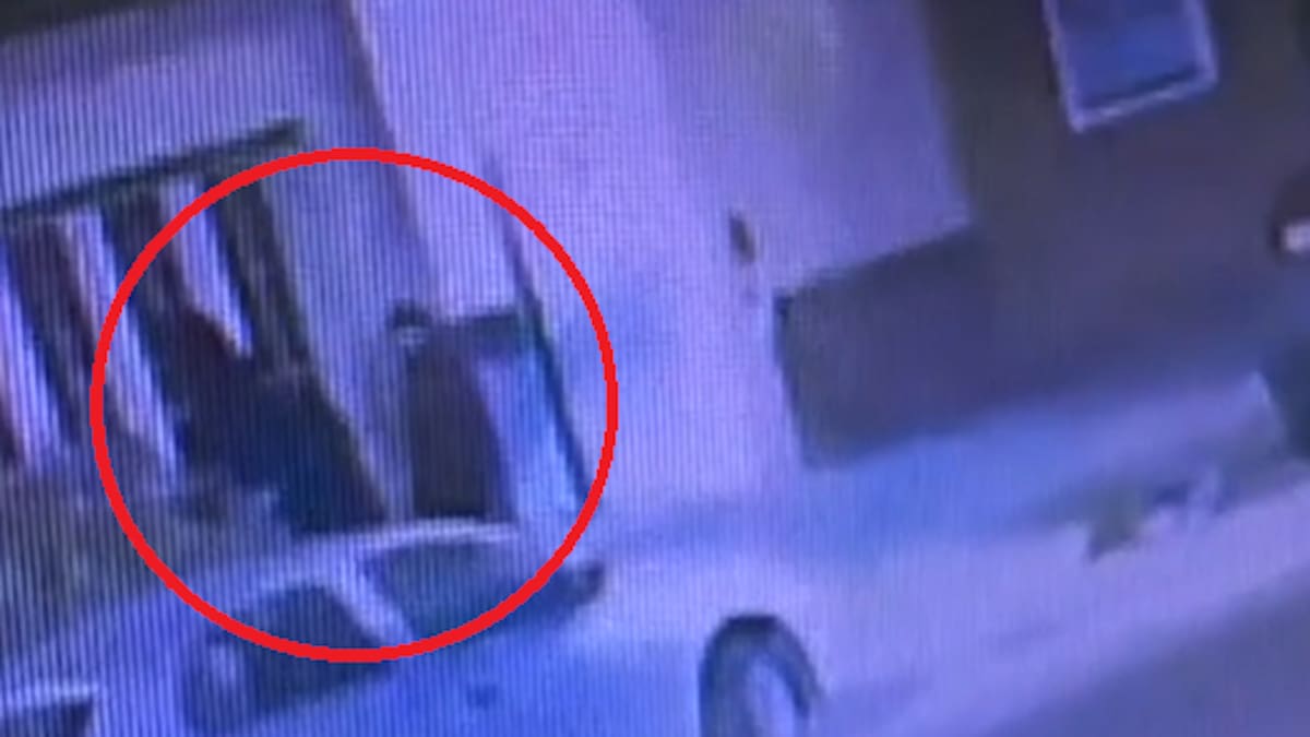 Desaparición de Agostina Vega: el video que la muestra por última vez entrando a la casa del acusado