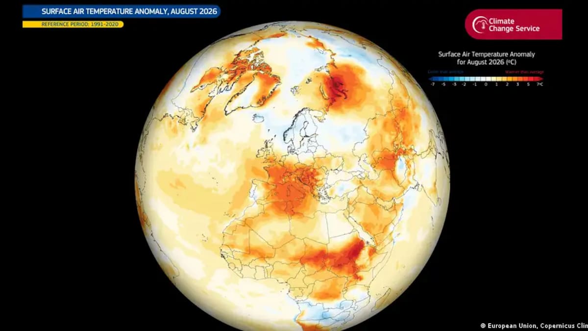Alarmante récord climático: según Copernicus, agosto se convirtió en el mes más caluroso registrado en la historia
