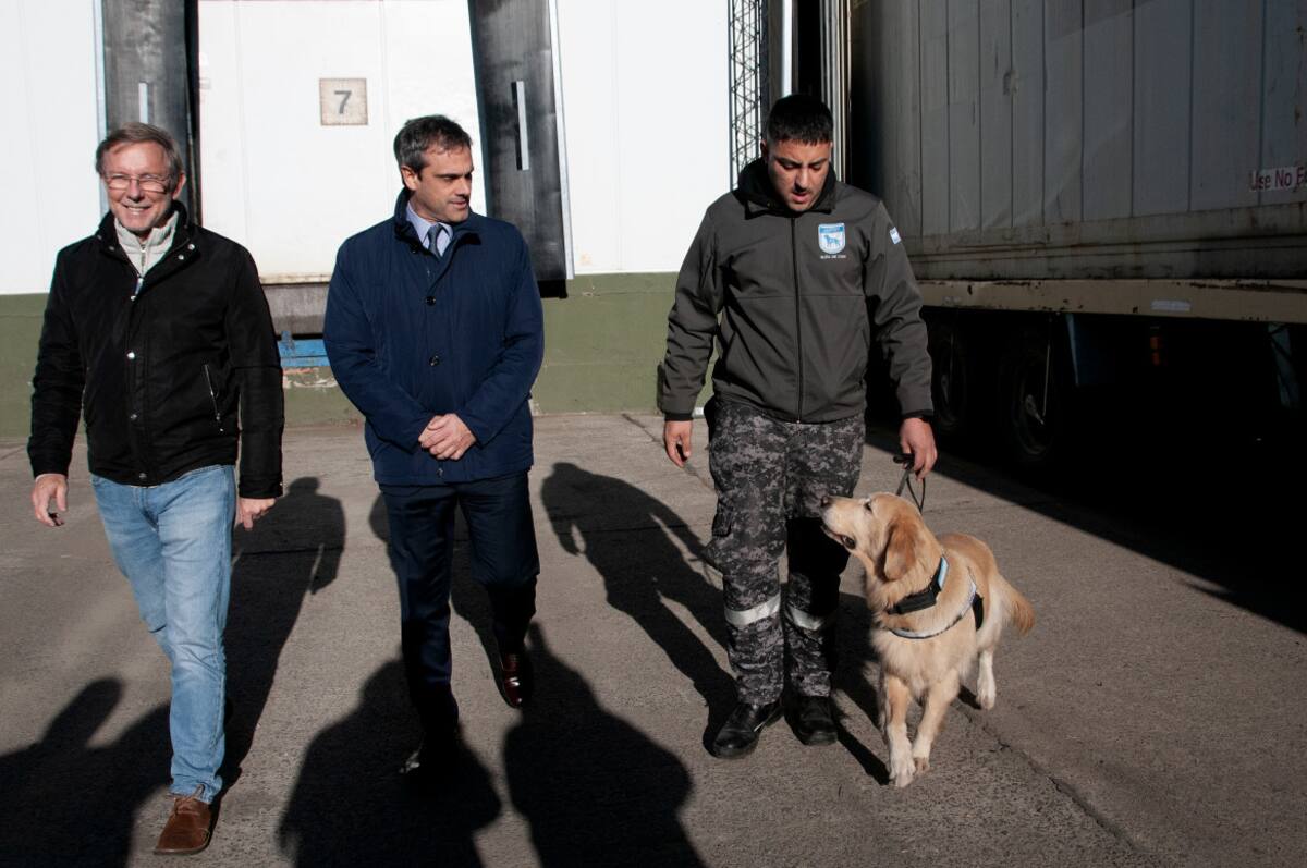 Agricultura y Aduana secuestraron 430 toneladas de carne