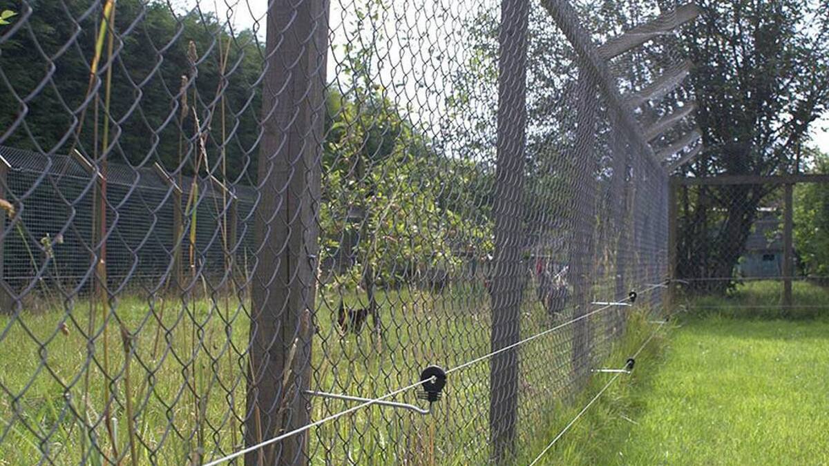 Alambrado electrificado