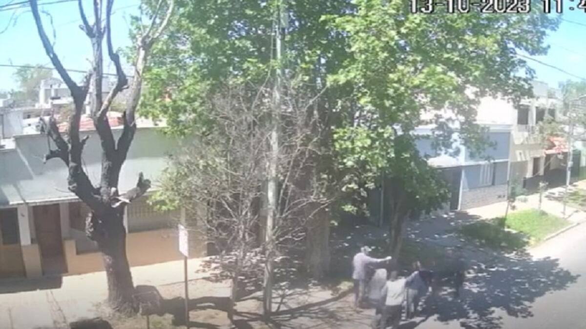 Albañiles agredieron a vecino en La Plata. Foto: captura de video.