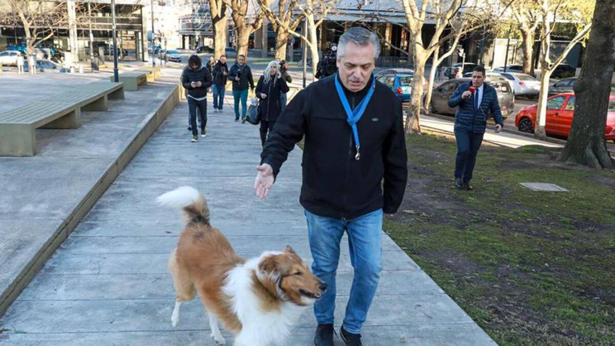 Alberto Fernández antes de votar, PASO