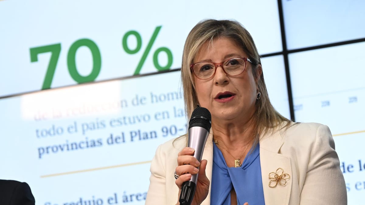 Alejandra Monteoliva, ministra de Seguridad.