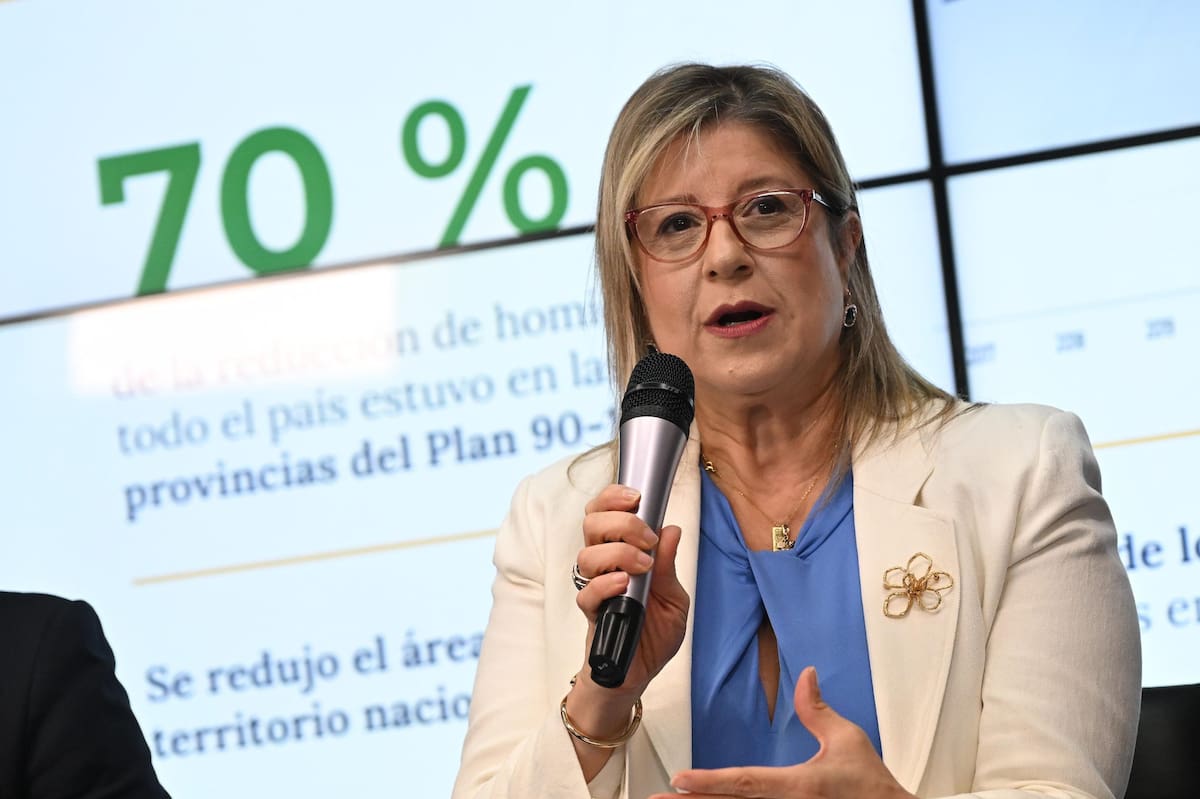 Alejandra Monteoliva, ministra de Seguridad.