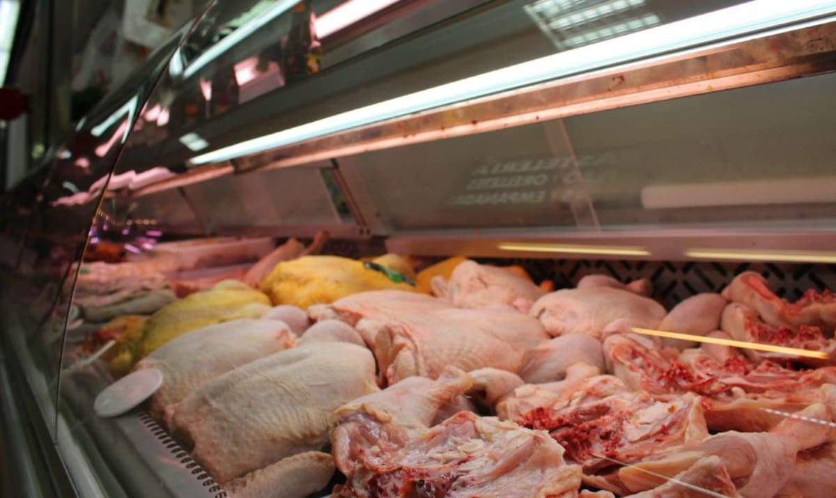 precio del pollo