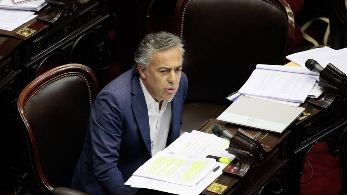 Alfredo Cornejo, diputado, Juntos por el Cambio, NA