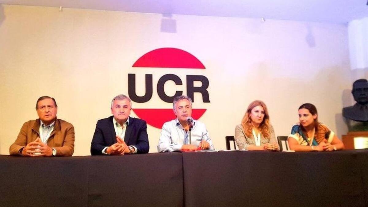 Alfredo Cornejo, UCR, radicalismo, Twitter UCR