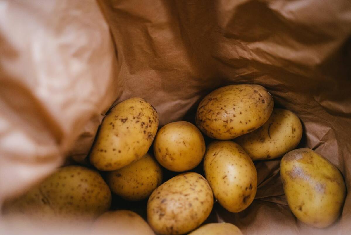Alimentación - papas. Foto: Unsplash.