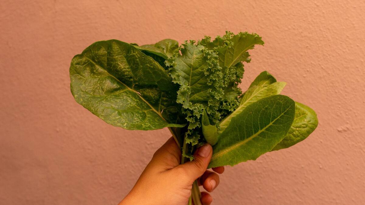 Alimentación a base de plantas. Foto: Unsplash