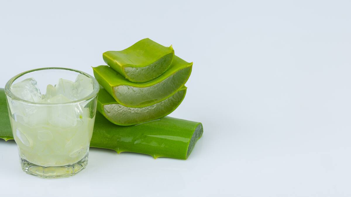 El aloe vera, un gran aliado para la salud: cómo consumirlo y cuáles son sus beneficios