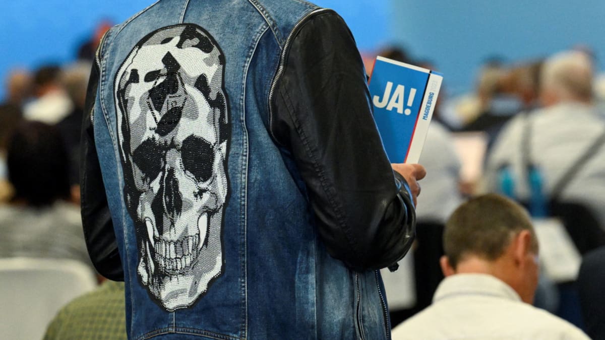 Alternativa para Alemania, extrema derecha. Foto: Reuters.