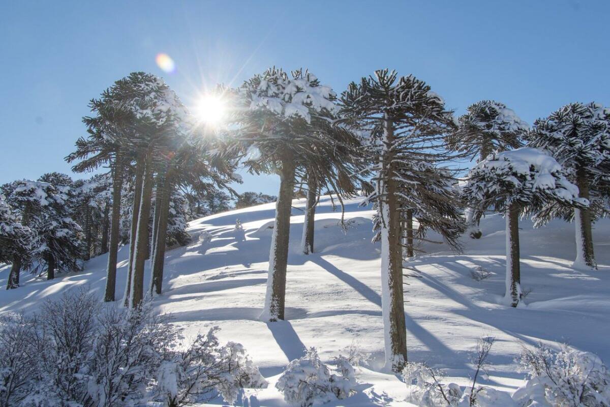 Aluminé, Neuquén. Foto X @neuquentur.