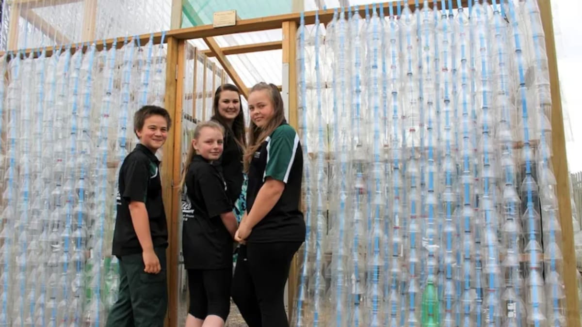 100% sustentable: una escuela recicló más de 2.000 botellas y construyó un invernadero para cultivar durante todo el año