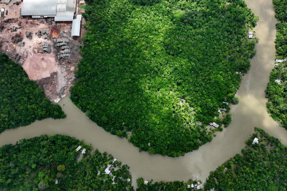 Amazonas. Foto: Reuters.