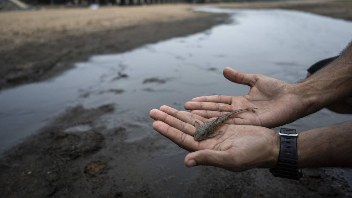 Amazonía. Foto: EFE